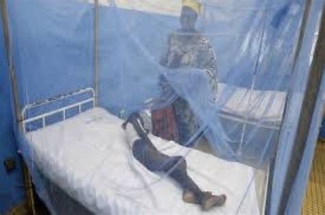 Free Malaria Treatment And Prevention In Cote D Ivoire A Roadmap To