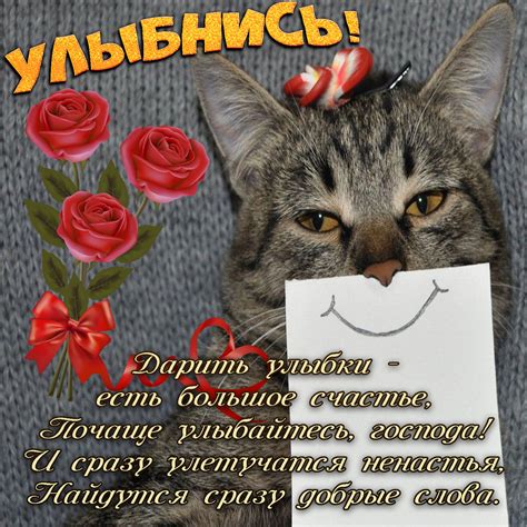 Смешная открытка с надписью Улыбнись и красивая картинка поздравление ...