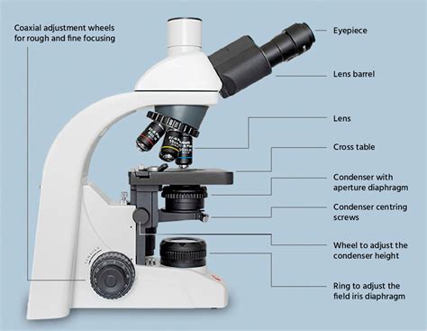 Basics Of Microscopy Feralco Waterlab