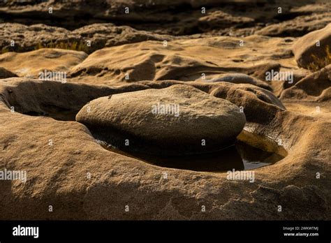 Sandstone Erosion Creates Beautiful Sculptures Along Weston Beach