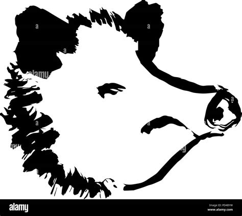 Boar Head Silhouette Hi Res Stock Photography And Images Alamy