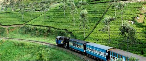 Coorg Tour Packages From Pune Book Coorg Packages From Pune