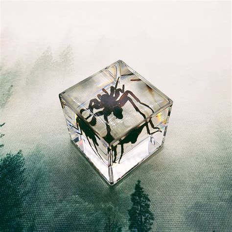 Spider Embedded In 40mm Resin Cube