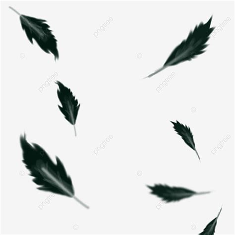 Penas Caindo PNG Pluma Preto Penas Pretas Imagem PNG E PSD Para