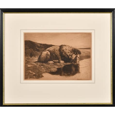 Herbert Dicksee British Head Of A Lioness Etching Signed