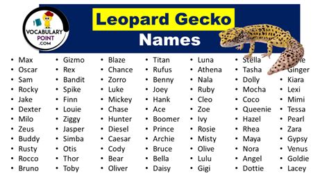 400 Creative Leopard Gecko Names (Male, Female & Funny) - Vocabulary Point