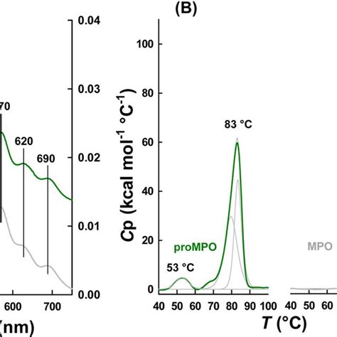 Biochemical Properties Of Monomeric Prompo And Dimeric Mpo A