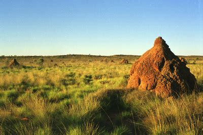 Great Sandy Desert - Australia's physical environment