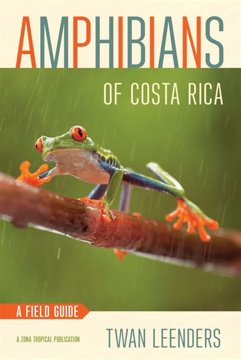 Amphibians Of Costa Rica A Field Guide Nhbs Field Guides Natural