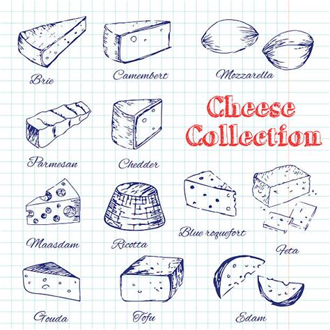 Best Brie Cheese Illustrations Royalty Free Vector Graphics And Clip Art