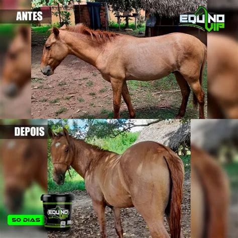 Kg Equino Vip Suplemento Potros Crescimento Equino Cavalo Venda Em