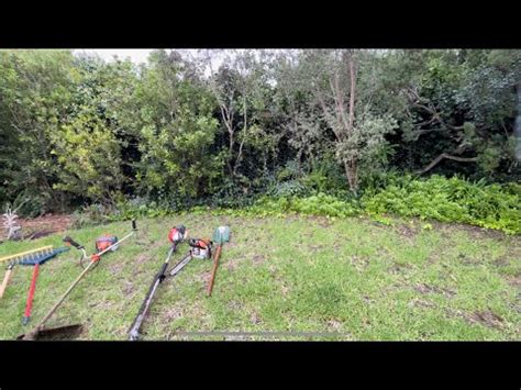 Mowing The Lawn Beats This Overgrown Yard Cleanup Before After