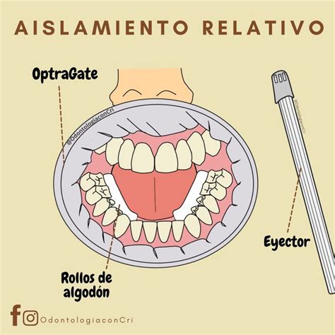 Aislamiento Relativo Dentistry Dental Assistant Study Dentistry Student