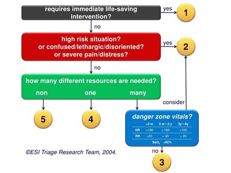 The Emergency Severity Index