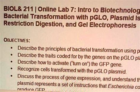 Solved Biol Online Lab Introduction To Biotechnology