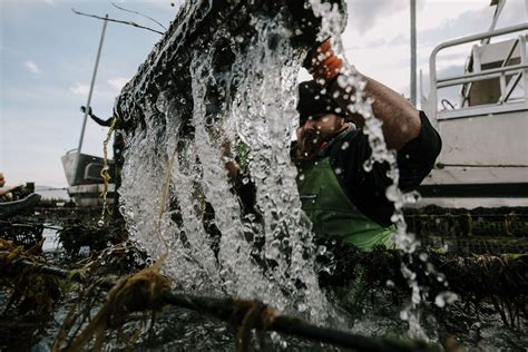 Yumbah Aquaculture Lusy