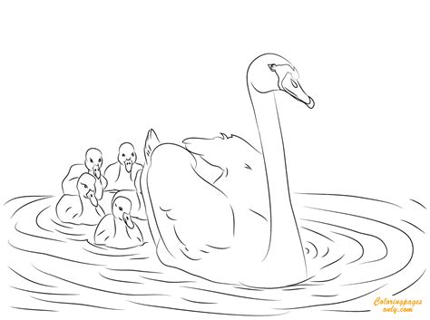 Swan And Babies Coloring Page Free Printable Coloring Pages