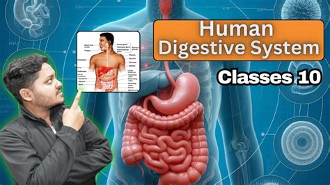 Digestion Class 10 One Shot Revision In 10 Mins Life Processes Class