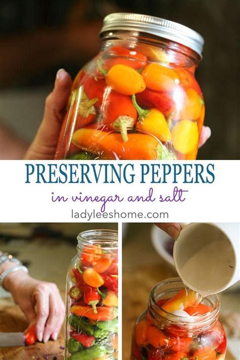 Preserving Peppers In Vinegar And Salt Recipe Preserving Peppers