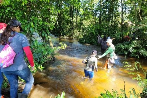 Curso De Condutor Ambiental De Trilhas E Caminhadas Capacita Popula O