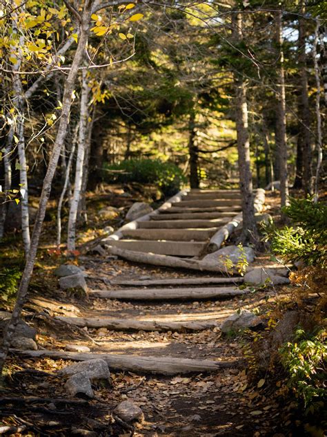 Hiking the trails of Acadia National Park, ME : r/NationalPark