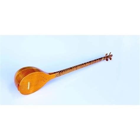 Setar For Sale | Iranian Setar Instrument – Sala Muzik