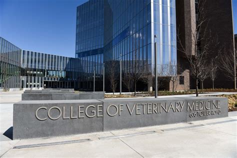 At ‘zoo University Cornell Veterinary College Students Gain Hands On