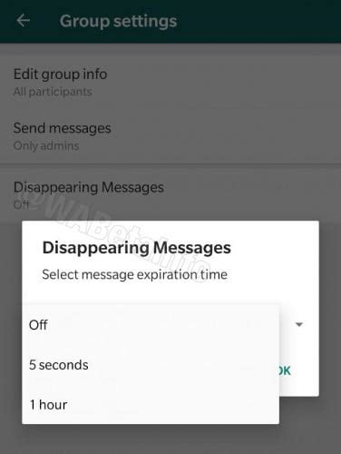 Whatsapp Working On Self Destructing Messages Feature