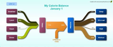 Sankey diagram daily calories | Sankey diagram, The unit, Diagram