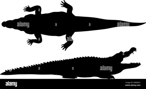 Silueta De Cocodrilo Vector Fotograf As E Im Genes De Alta Resoluci N