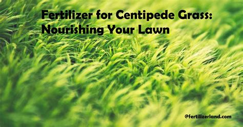 Fertilizer for Centipede Grass: Nourishing Your Lawn