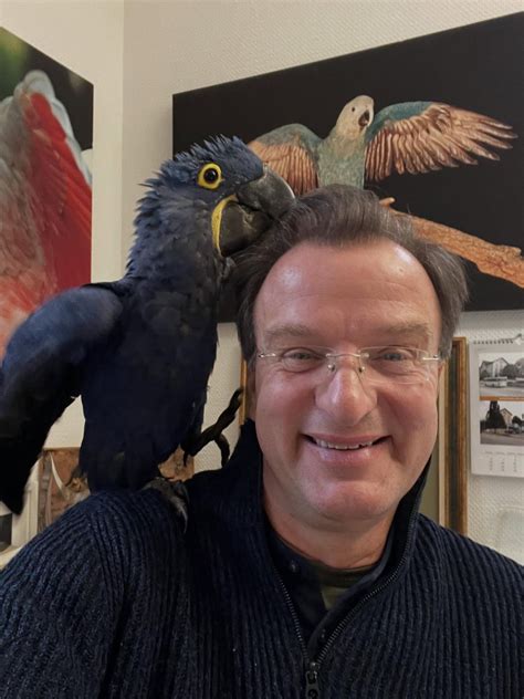 Dr. - Heute möchte ich ein bisschen Werbung für die Bühler Hexen machen