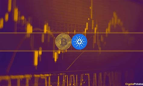 Bitcoin Btc Dominance On The Rise As Cardano Ada Slips Market