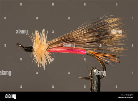 Streamer Flies Hi Res Stock Photography And Images Alamy