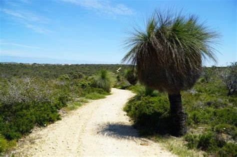 Neerabup National Park