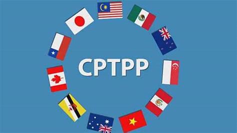 台灣正式申請加入cptpp 商台新聞 Line Today