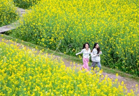 浙江金华春意盎然 踏青赏花 人民图片网