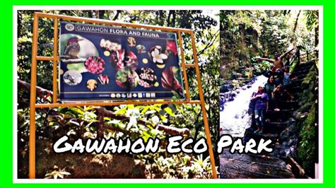 Gawahon Eco Park Victorias City Negros Occidental Bakasyon 2024 Youtube
