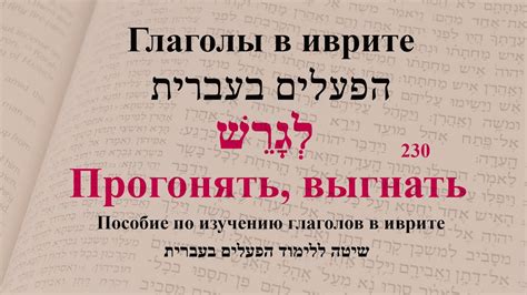 Глаголы в иврите. Глагол 230 "Прогонять, выгнать". Спряжение глаголов ...