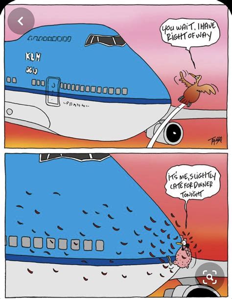 Pin by Patricia Del Amo on Reír in 2023 Flight attendant humor