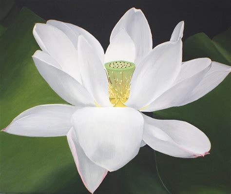 White Lotus Painting Flower Painting, Zen Decor, Large Floral Wall Art ...