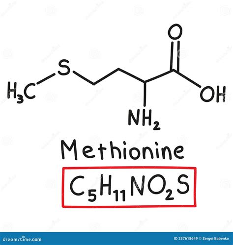 Methionine Molecular Structure Methionine Skeletal Chemical Formula