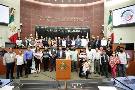 Perfilan En El Senado Reforma Constitucional Para Fortalecer Derechos