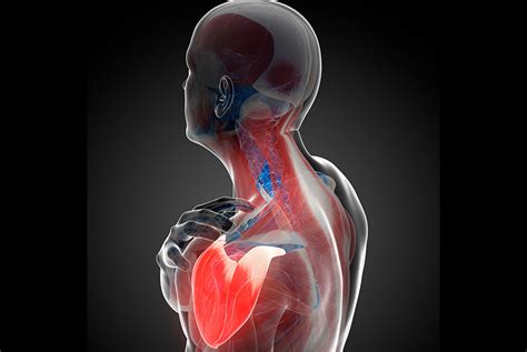 shoulder   time uconn today