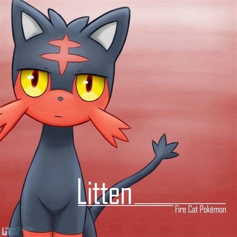 Litten - Fire Cat Pokemon | Pokémon Amino