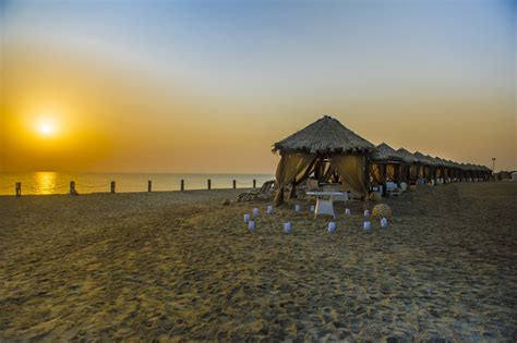 Golden Adventures Qatar 2025 All You Need To Know Before You Go