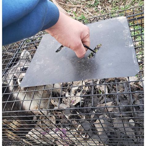 humaneway humane  folding  humane animal trap sports supplies