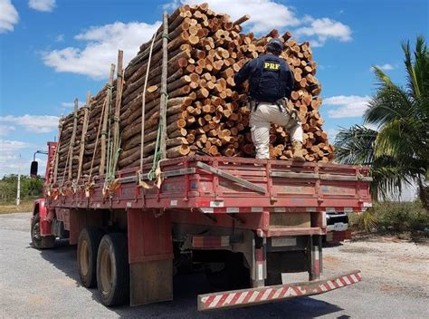 Caminh O Que Transportava Madeira Ilegal Apreendido Em Pocinhos Na