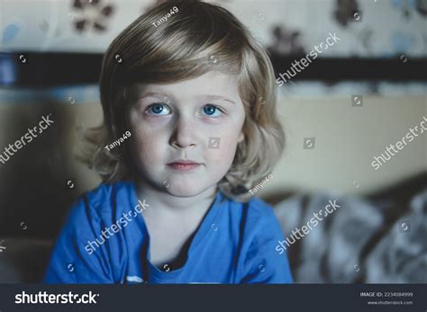 Cute Five Years Old Blonde Boy Stock Photo Shutterstock