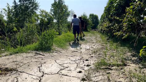 Romagna Il Grido Di Aiuto Degli Agricoltori Il Fango Ora Cemento